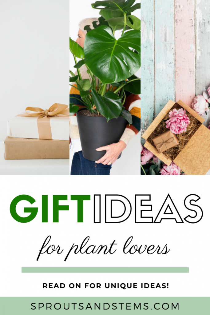 Unique Gift Ideas for Every Type of Houseplant Lover Sprouts and Stems