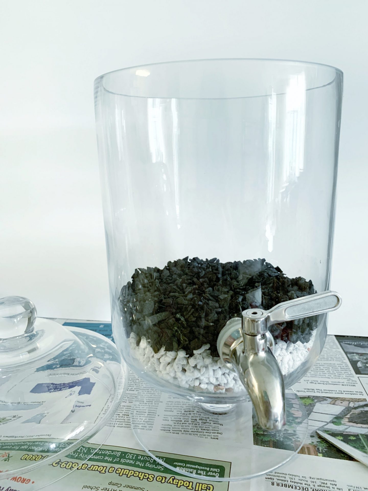 DIY Closed Terrarium, Layer by Layer Sprouts and Stems