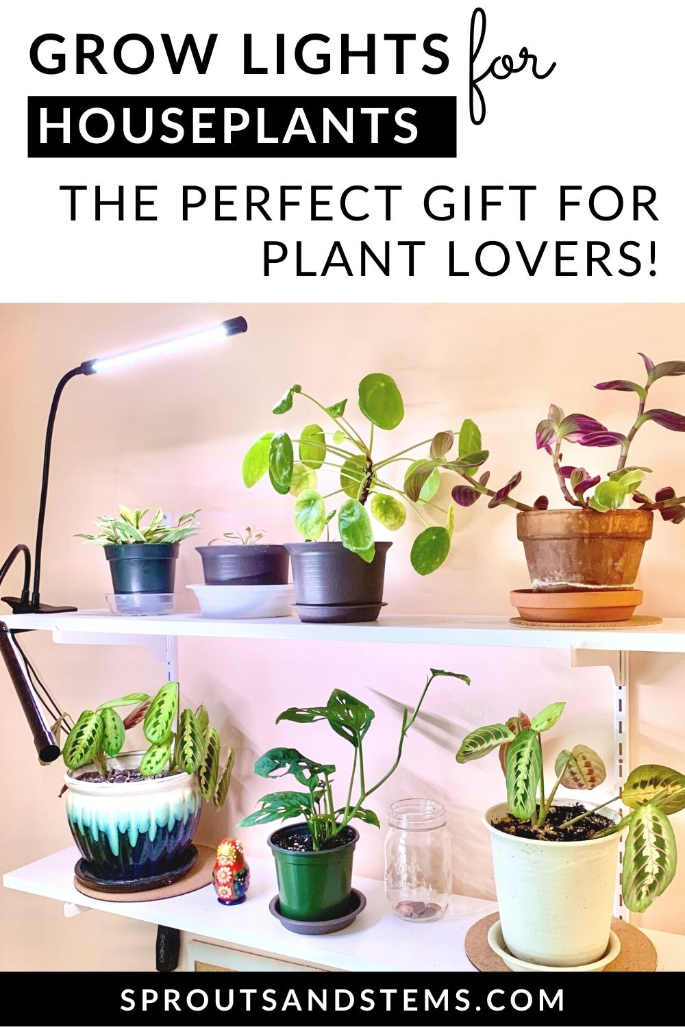 The Best Grow Lights for Houseplants Sprouts and Stems