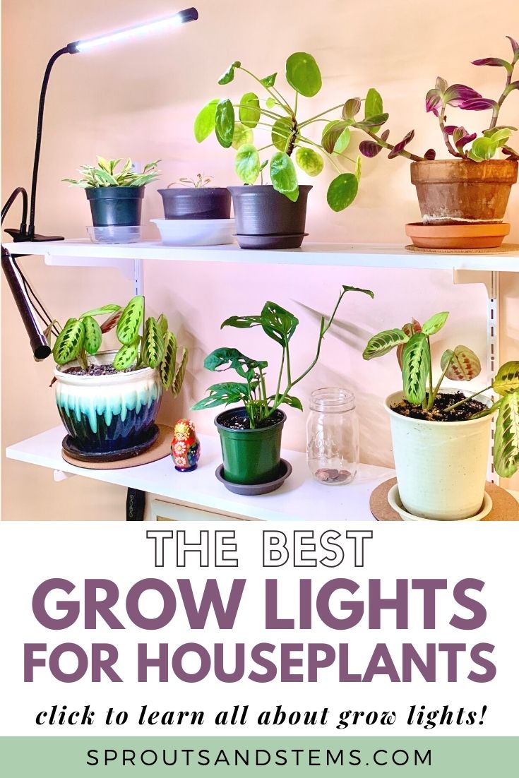 The Best Grow Lights for Houseplants | Sprouts and Stems