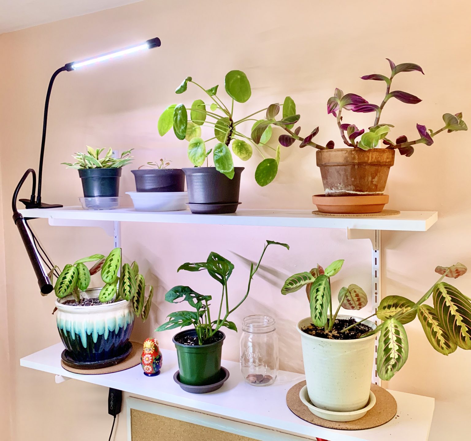 The Best Grow Lights for Houseplants Sprouts and Stems