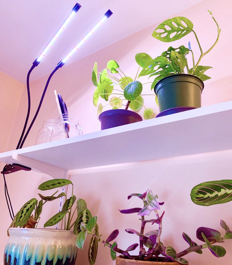 Artificial lights for houseplants