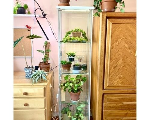 Ikea greenhouse cabinet