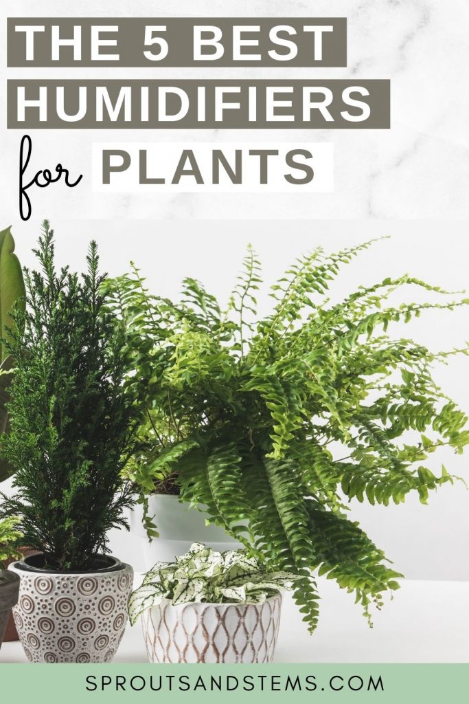 best humidifiers for plants pinterest pin