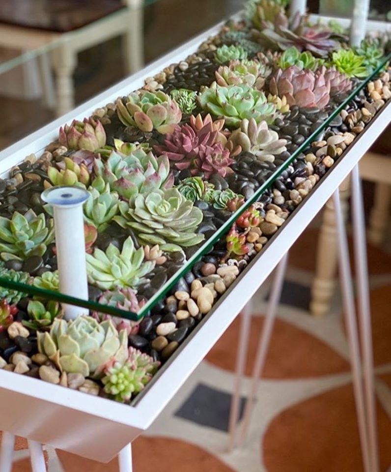 succulent terrarium coffee table