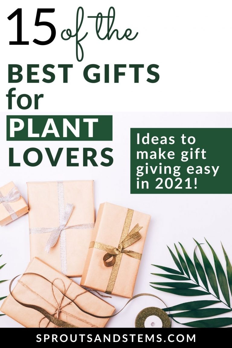 15 of the Best Gifts for Plant Lovers in 2021! Sprouts and Stems