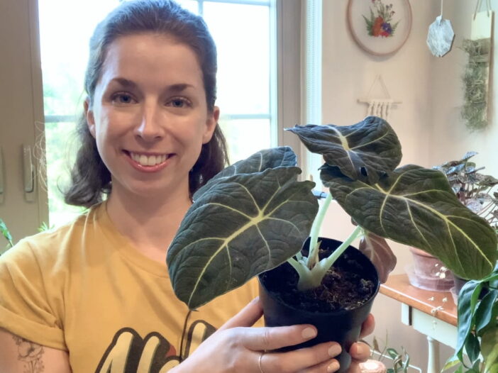 Julie from Sprouts and Stems smiling and holding a black velvet alocasia