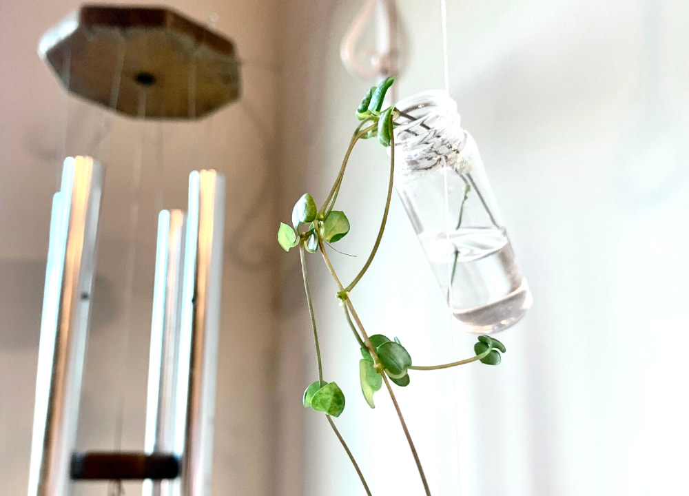 a glass jar with a string of hearts cutting hanging on clear monofilament line