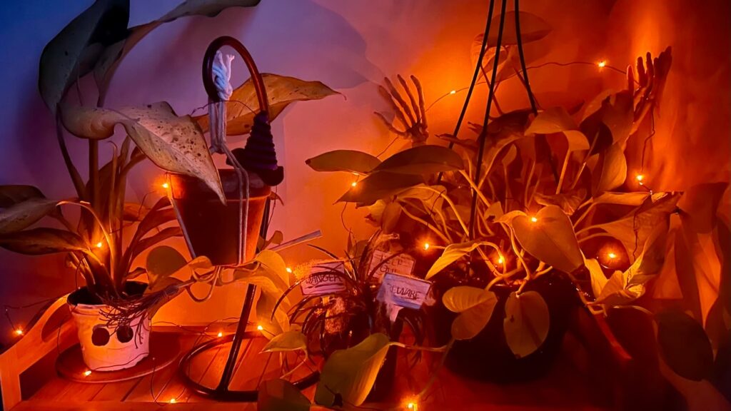Plant halloween decorations on a shelf with orange lights