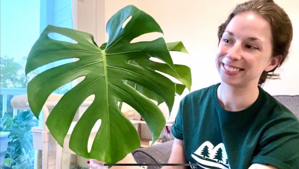 Julie from Sprouts and Stems holding a monstera deliciosa leaf