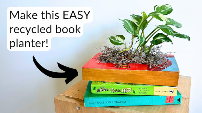Houseplant potted in a recycled book planter