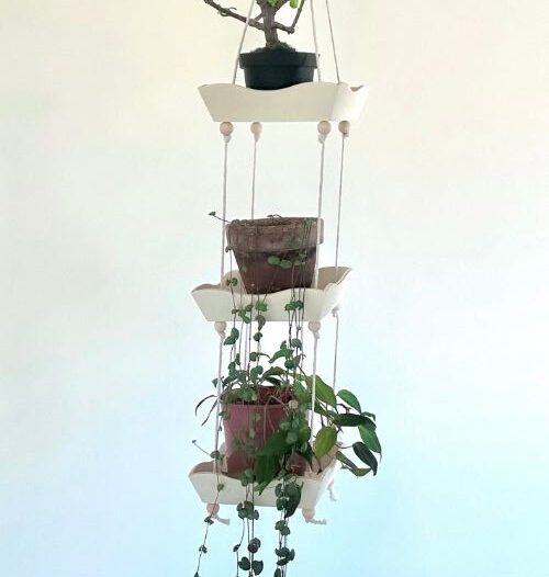Projects Archives | Sprouts and Stems