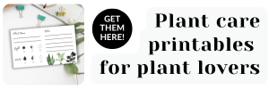 Click to get Sprouts and Stems' plant care printables